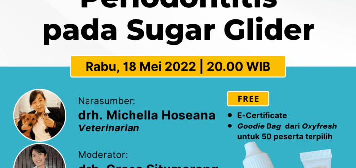 Kesehatan Gigi Sugar Glider