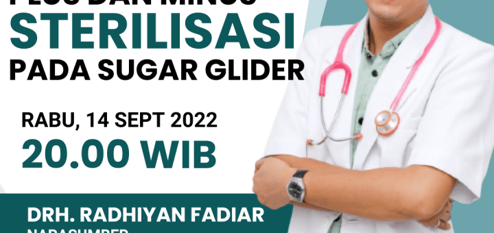 Ngobrasg 16
