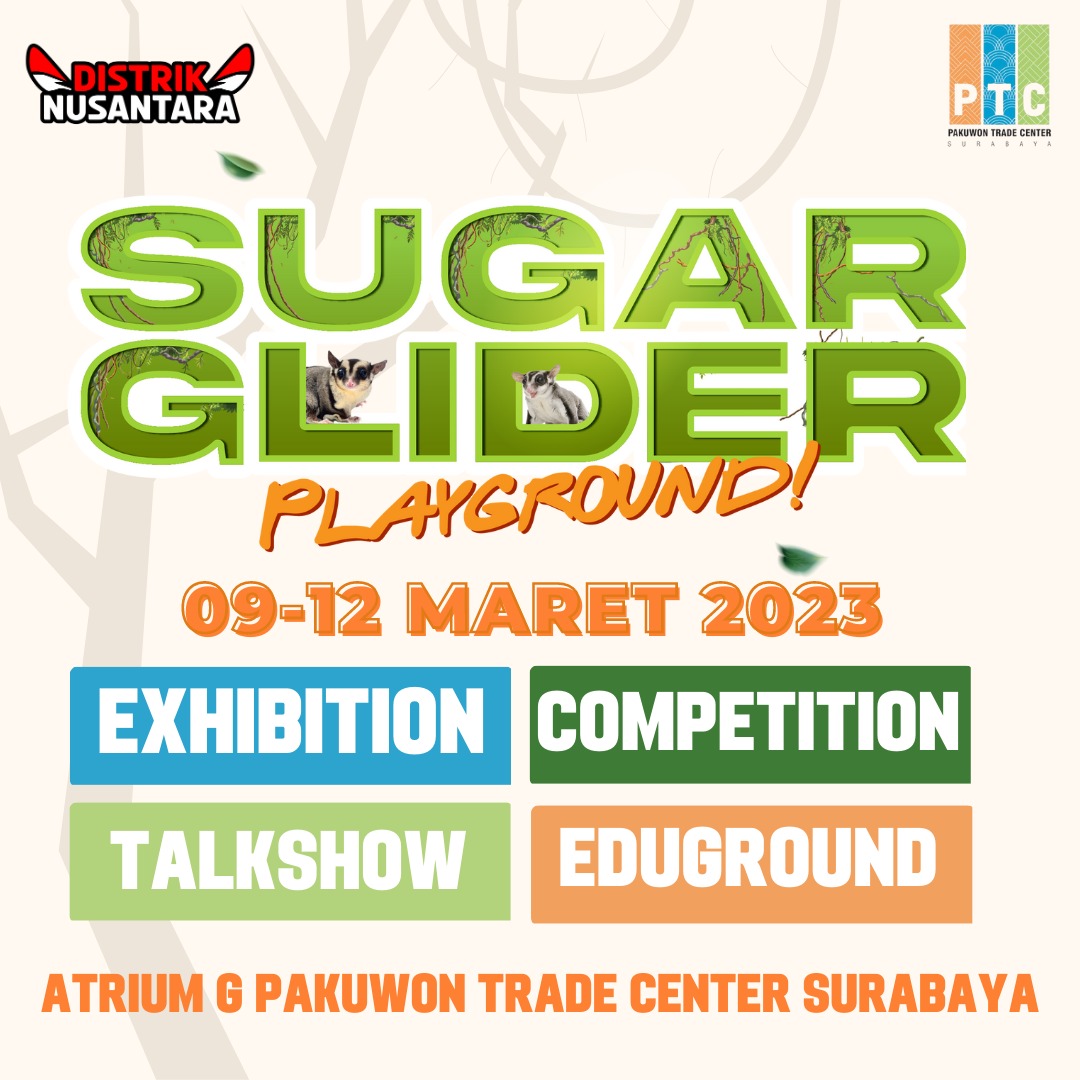 Sugar Glider Playground di PTC Surabaya