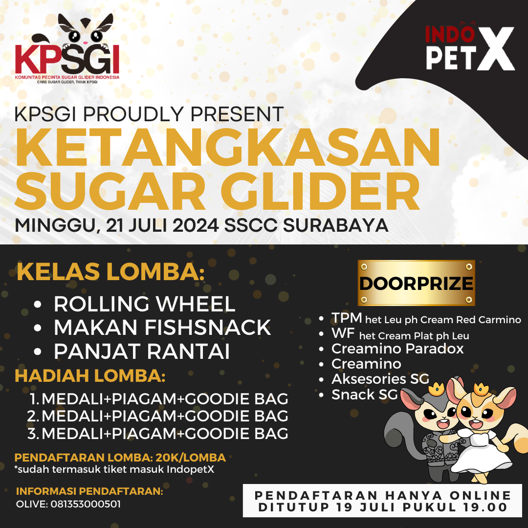 Lomba sugar glider IndopetX surabaya